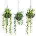 hanging plants set - Thumbnail 1