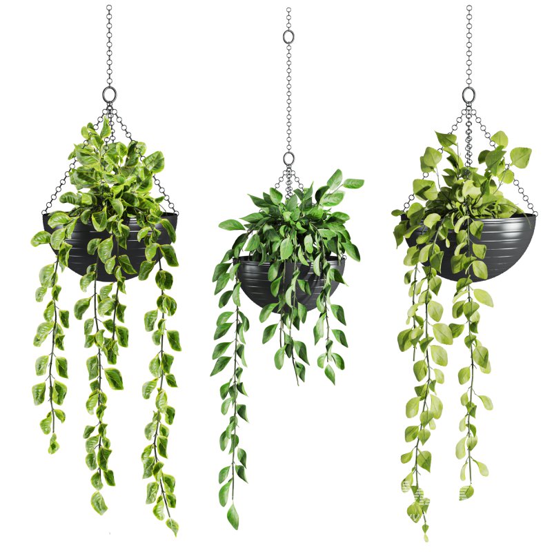hanging plants set - Image 1