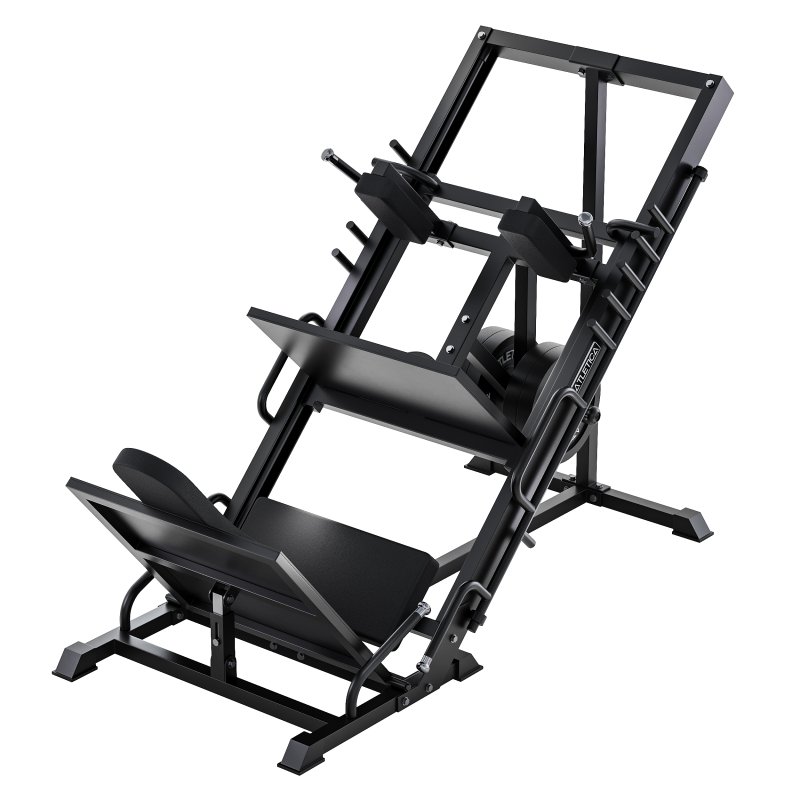 Beinpresse Hackenschmidt Combi - Image 8