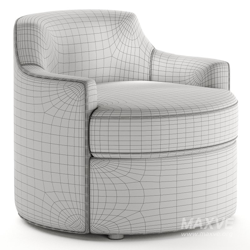 Tato Lido Armchair by Ignazio Gardella - Image 6