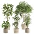 plants set - Thumbnail 1