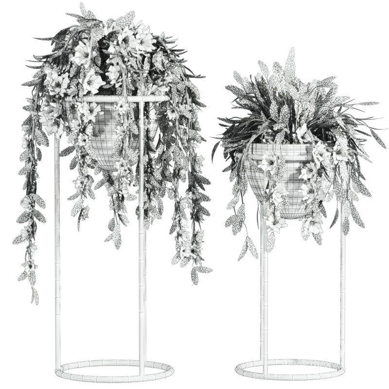 ivy plants - Image 4