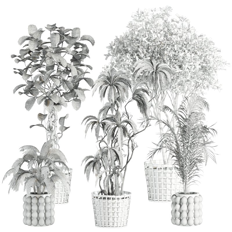 plants set - Image 6