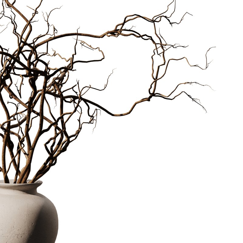 Dry branch set49 - Image 3