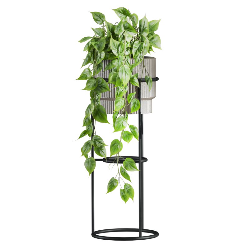 plants set - Image 2