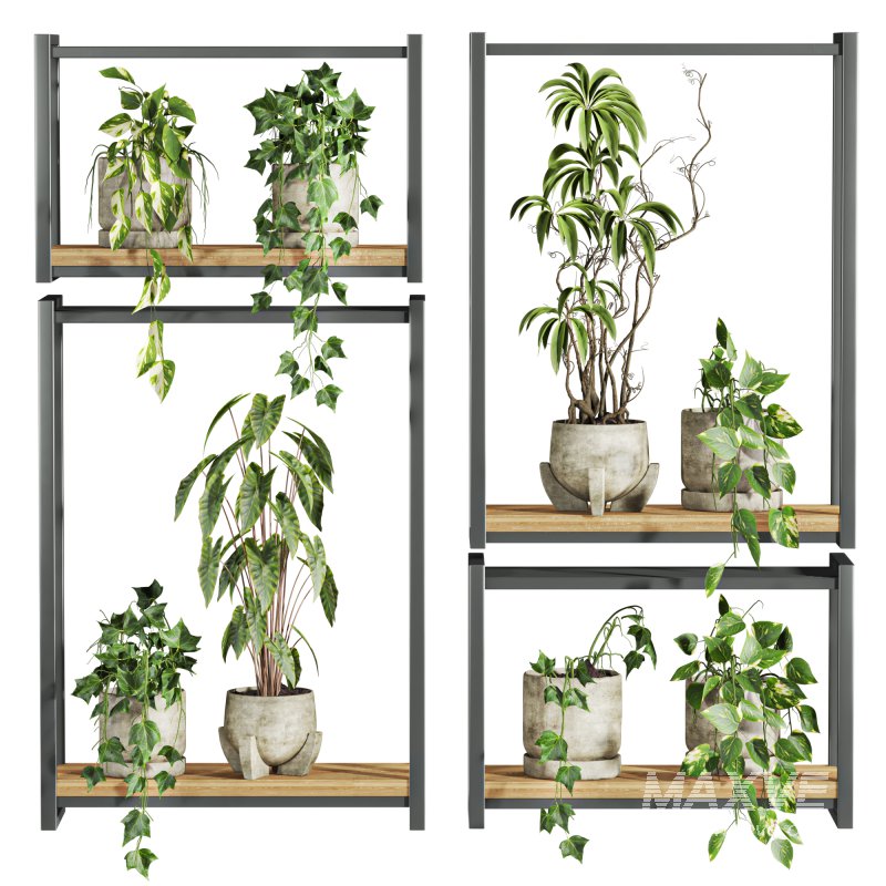 plants set on shelf - Image 2