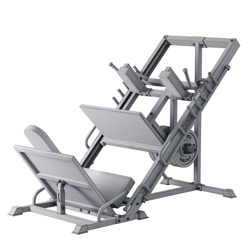 Beinpresse Hackenschmidt Combi - Image 14