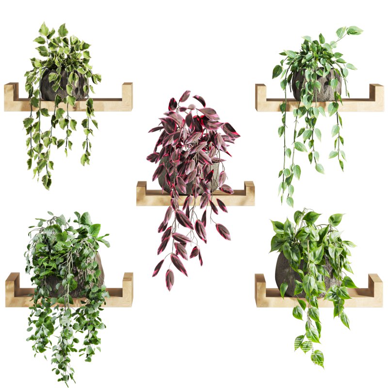 plants set - Image 1