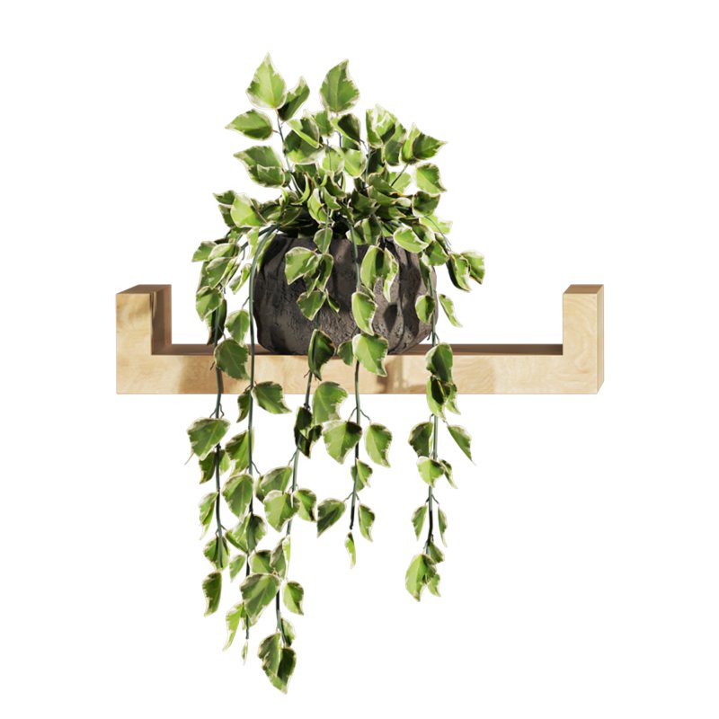 plants set - Image 3