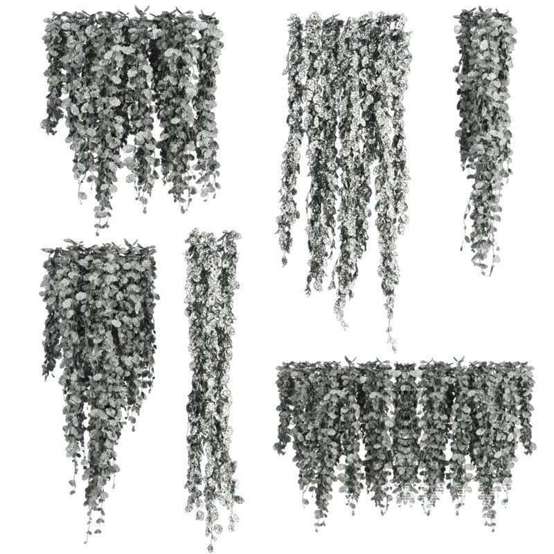 ivy plants - Image 4