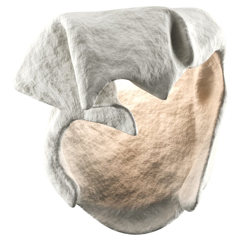 Castimonia Corporis - Image 4