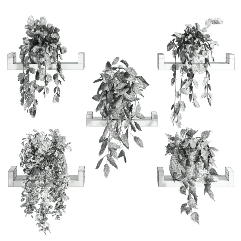 plants set - Image 5