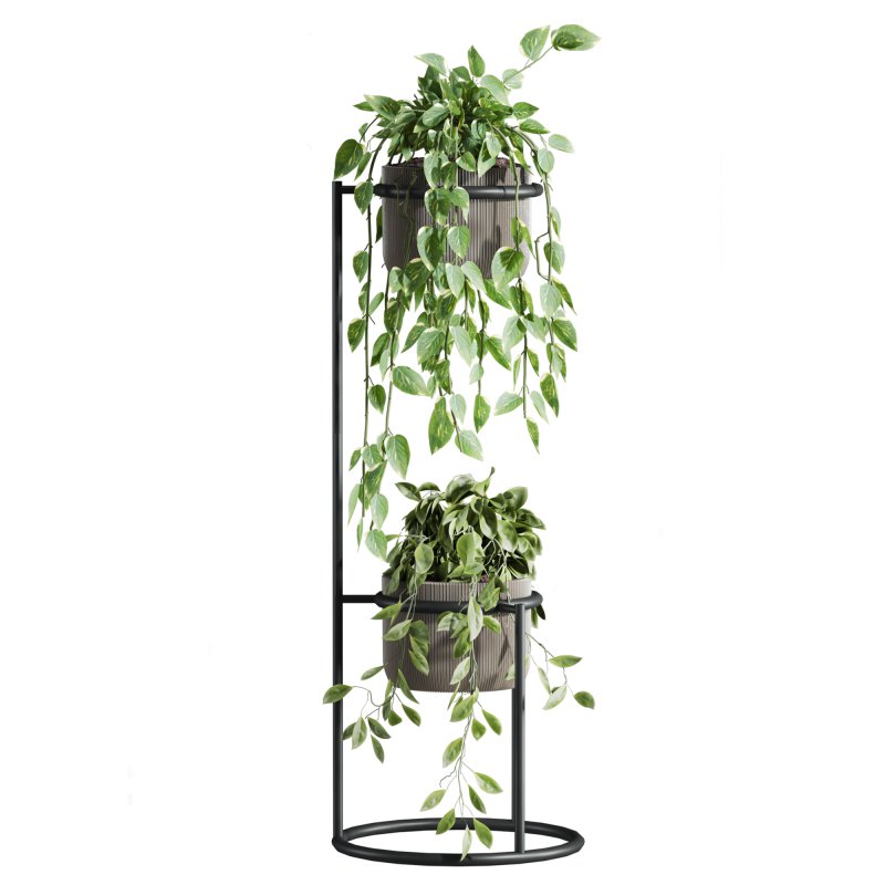 plants set - Image 3