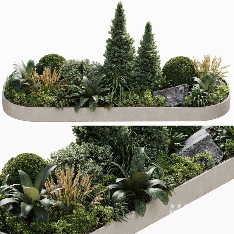 Outdoor Plant 38 - Image 5