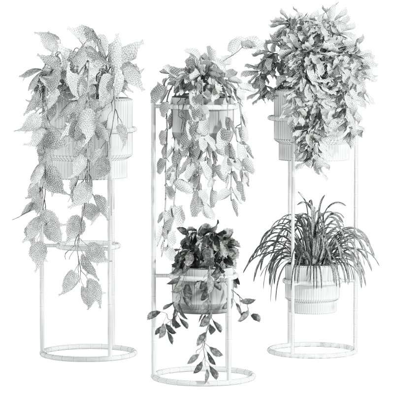 plants set - Image 5