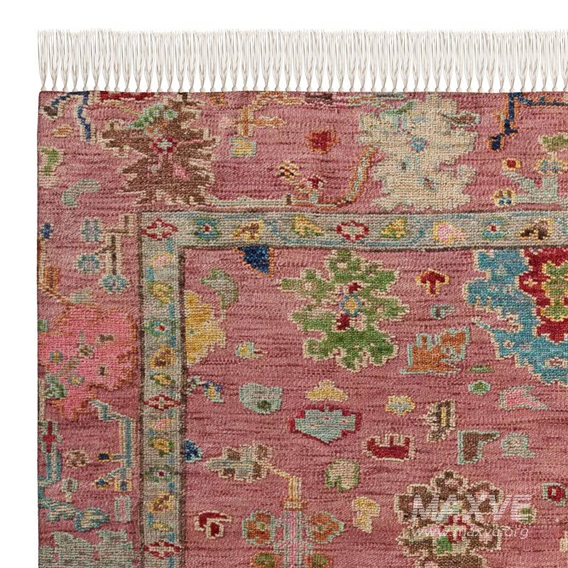 Wool Blend Tufted Tassel Rug - Image 4