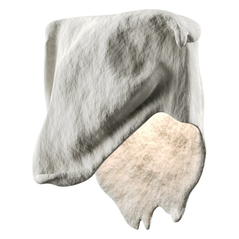 Castimonia Corporis LV - Image 2