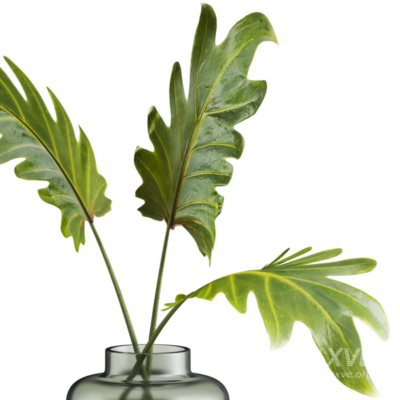 leaf and vase - Image 1