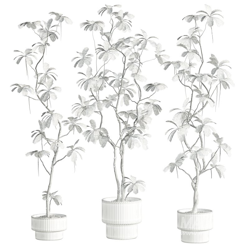 plants set - Image 5