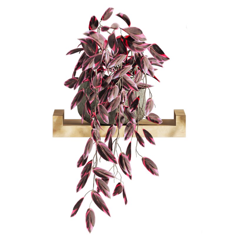 plants set - Image 4