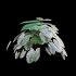 Caladium White Christmas – Angel Wings 02 - Thumbnail 4