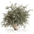 Olive Branches in Textured Ceramic Vase - Thumbnail 2