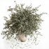Olive Branches in Textured Ceramic Vase - Thumbnail 3