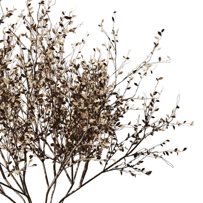 Dry branch set48 - Image 2