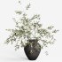 Olive Branches in Textured Ceramic Vase - Thumbnail 4