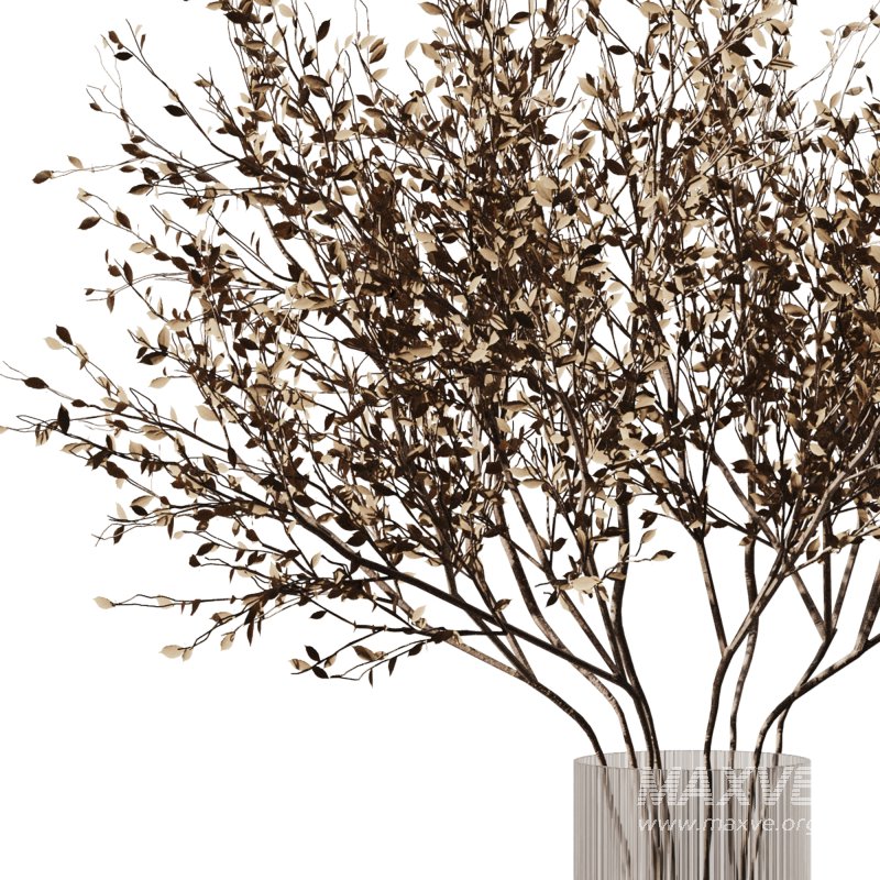 Dry branch set48 - Image 4