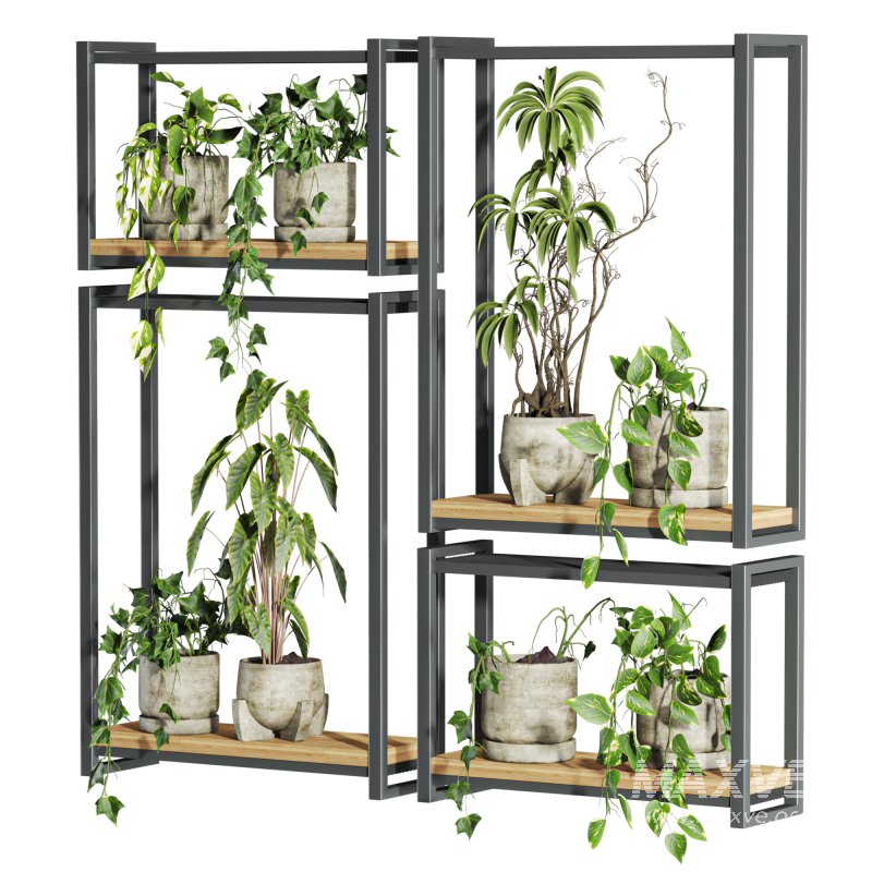 plants set on shelf - Image 1