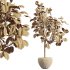 AV HousePlants Japandi Decorative Minimalism Ficus Dracaena Marginata 07 - Thumbnail 3