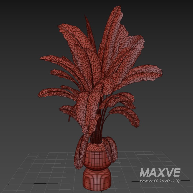 Indoor plant 08 - Image 1