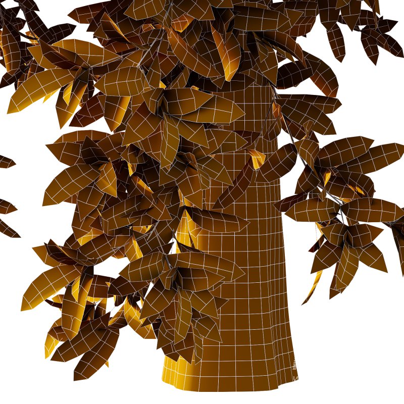 Michelia Maudiae Tree 03 - Image 5