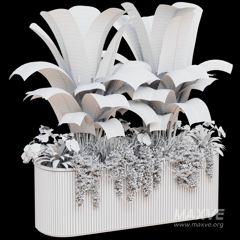 Outdoor Plant 39 - Image 3