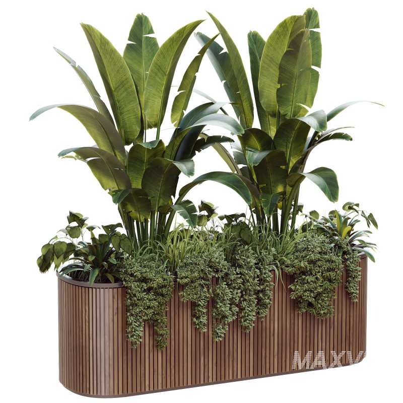 Outdoor Plant 39 - Image 2