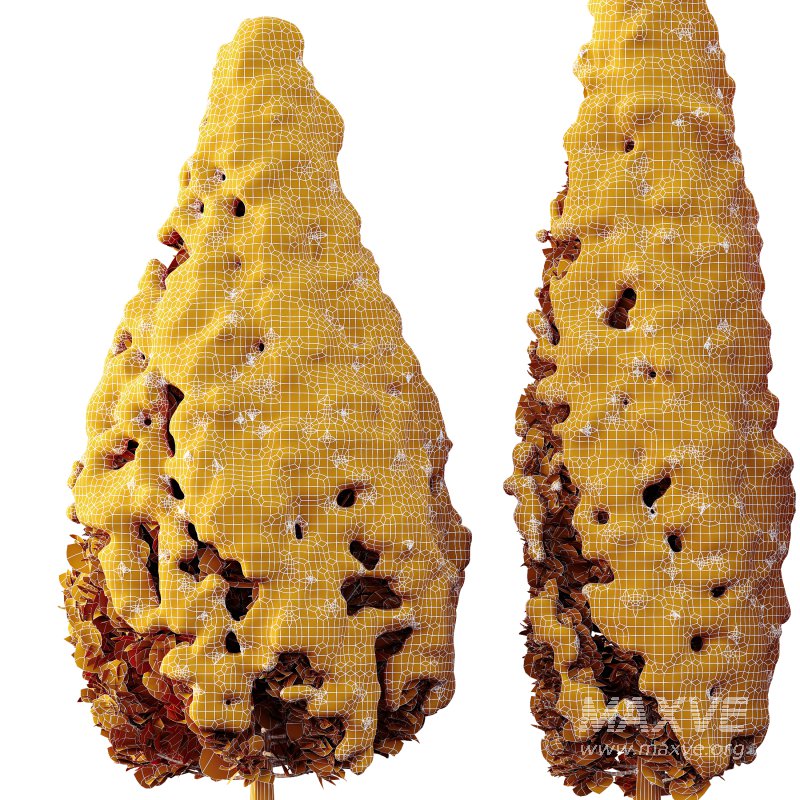 AV Plants Rocky Mountain Juniper Winter Snow - Image 3