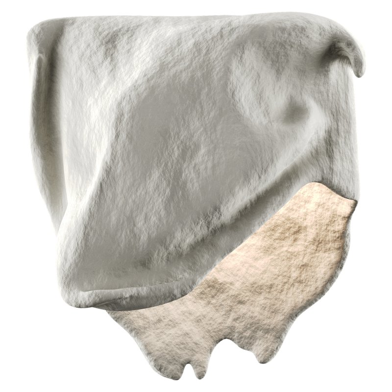 Castimonia Corporis LV - Image 3