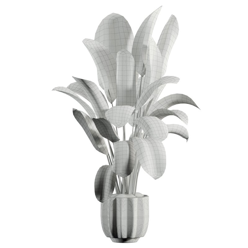 indoor plant 525 - Image 2