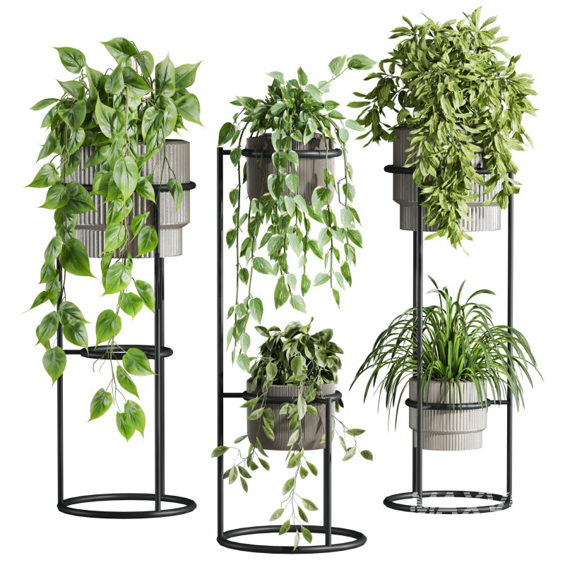 plants set - Image 1