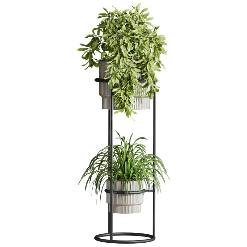 plants set - Image 4