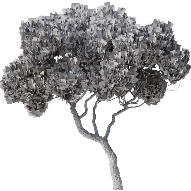 Tree Set29 - Image 4