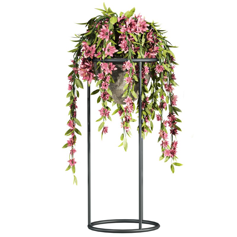 ivy plants - Image 3