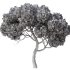 Tree Set28 – Pine tree - Thumbnail 4