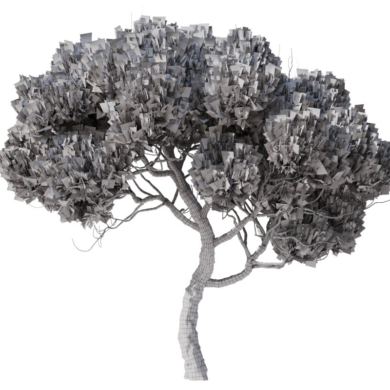 Tree Set28 – Pine tree - Image 4