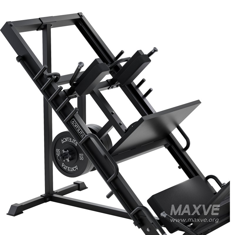 Beinpresse Hackenschmidt Combi - Image 13