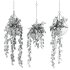 hanging plants set - Thumbnail 2
