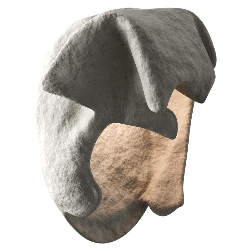 Castimonia Corporis - Image 3