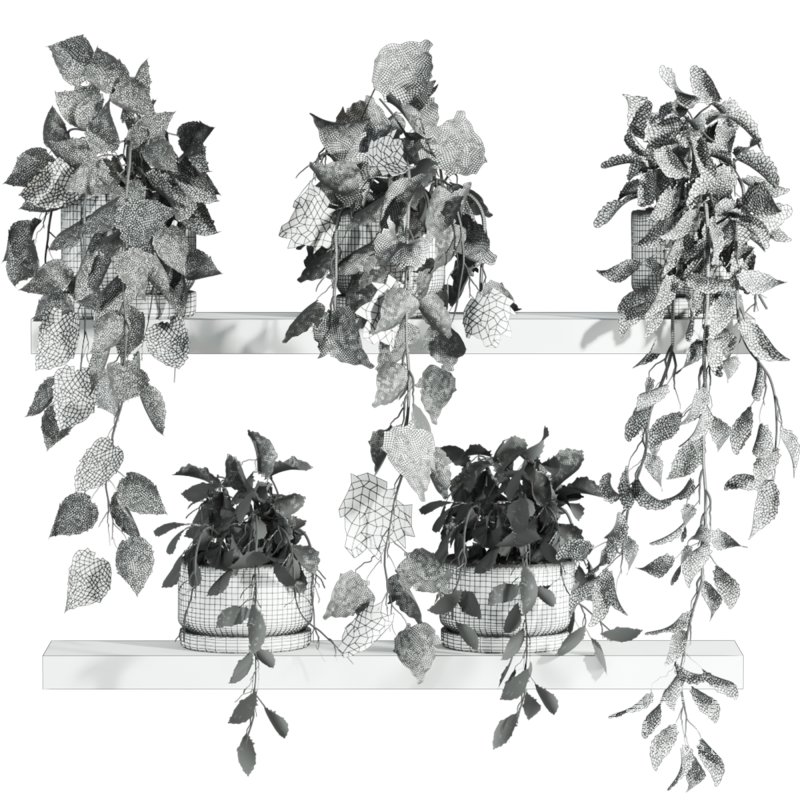plants set on shelf - Image 2