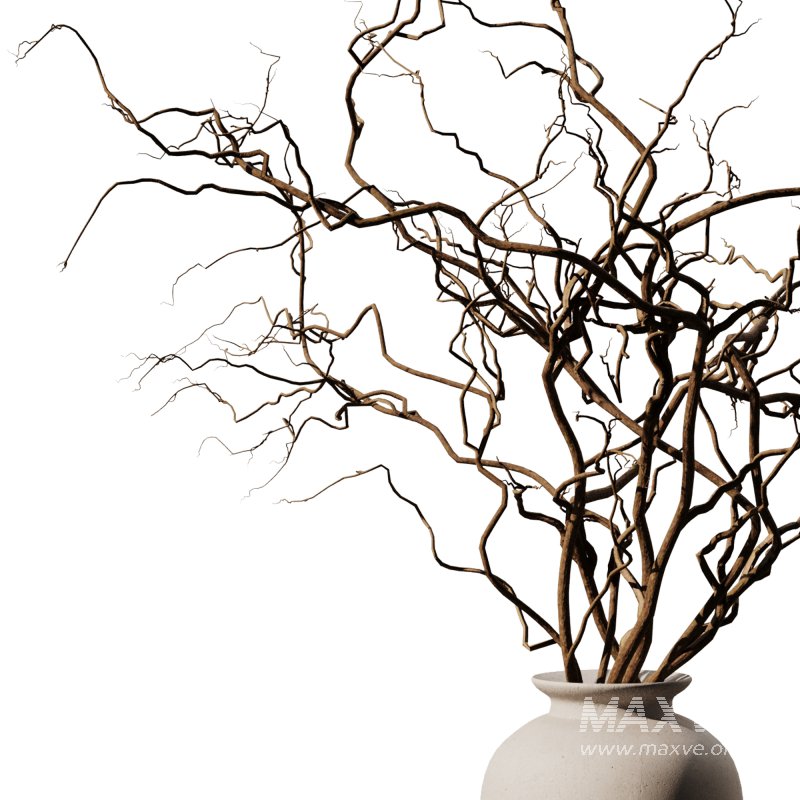 Dry branch set49 - Image 2